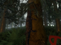 TheForest 2014-05-31 12-48-44-81.png